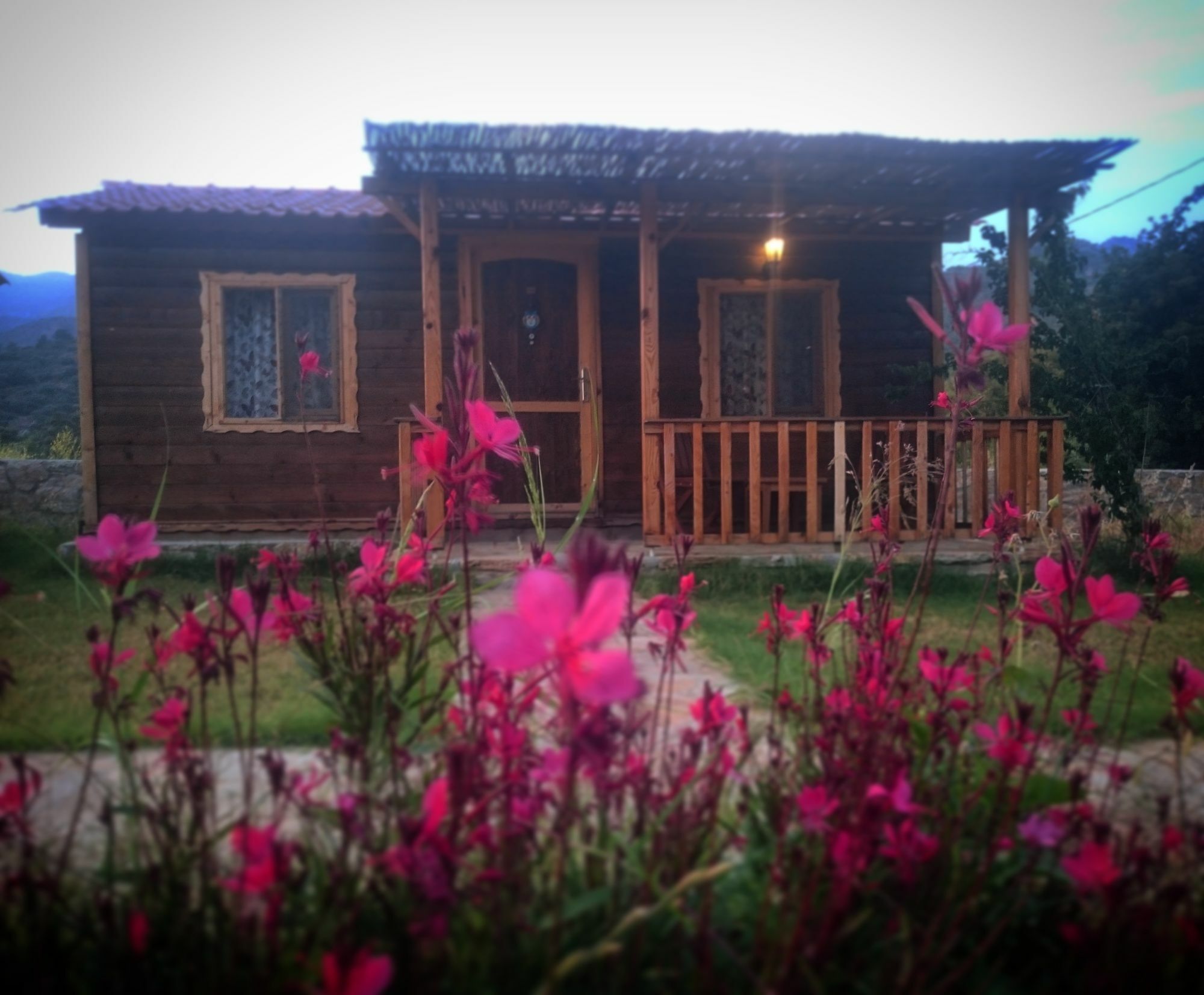 Ipekce Tatil Evleri Mesudiye  Екстер'єр фото